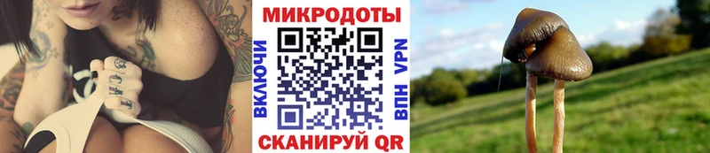 Галлюциногенные грибы мухоморы  Донецк 